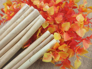 2 pcs Biodegradable Bamboo Organic Straws - bamboostylez
