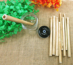 2 pcs Biodegradable Bamboo Organic Straws - bamboostylez