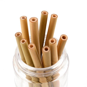 10 pcs Biodegradable Bamboo Organic Straws - bamboostylez